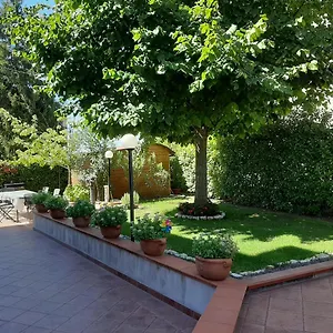 La Pietra Di Assisi , Palazzo (Umbria) Italia